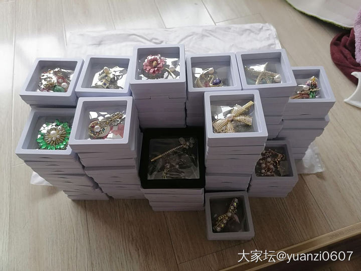 珍珠胸针_胸饰