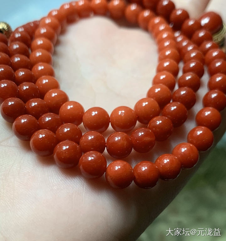 周末摸摸宝贝们_吊坠舒俱来珊瑚