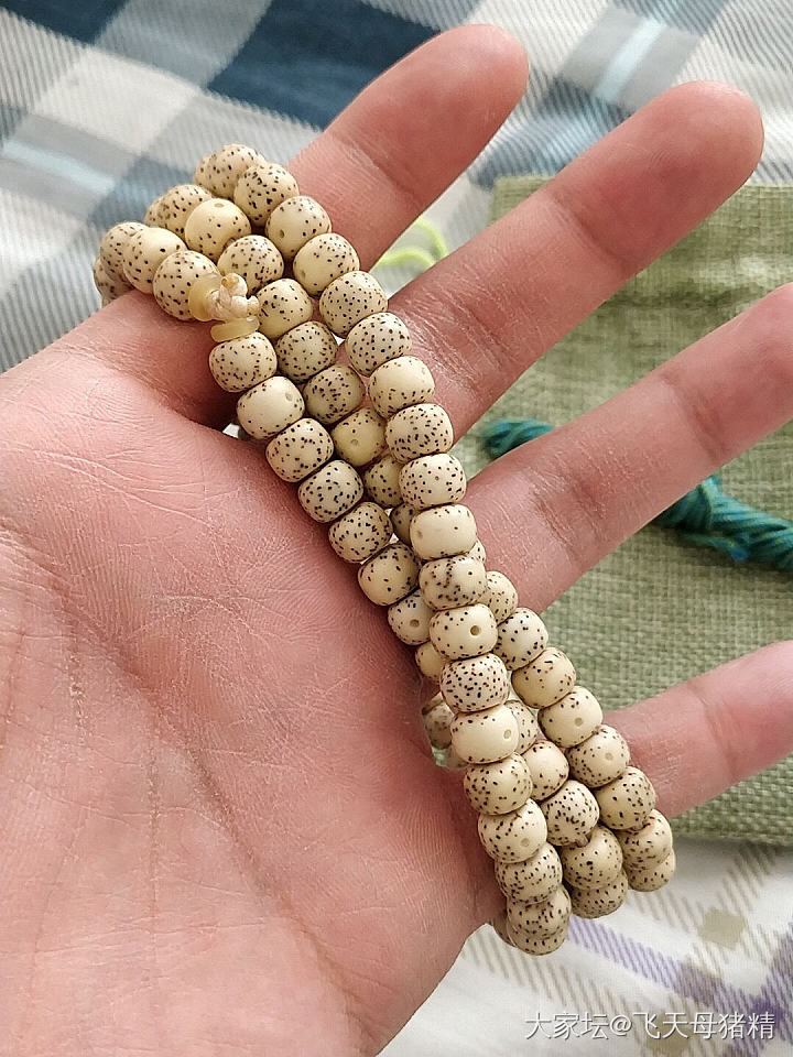 这两串选哪串_珠串菩提子文玩