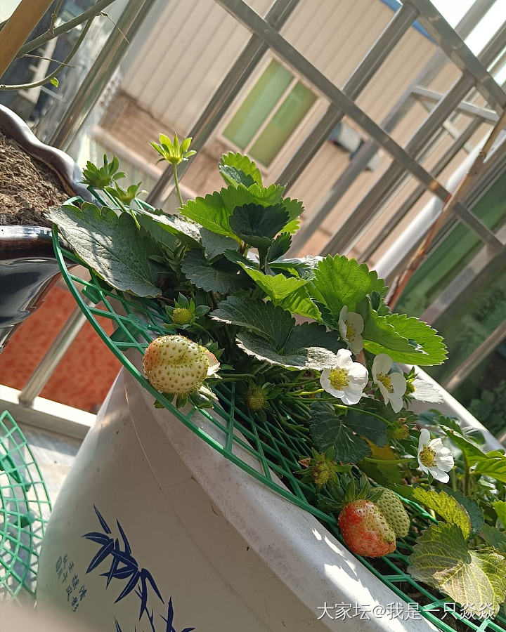 女孩子不要心软，没有分不了的手。