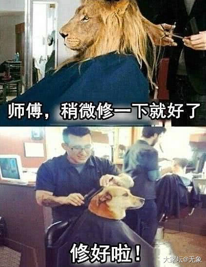 闲鱼搜索