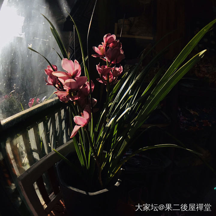 安康喜樂

臘月二八貼花花
臘月三十 歲除

恭祝各位
平安喜樂