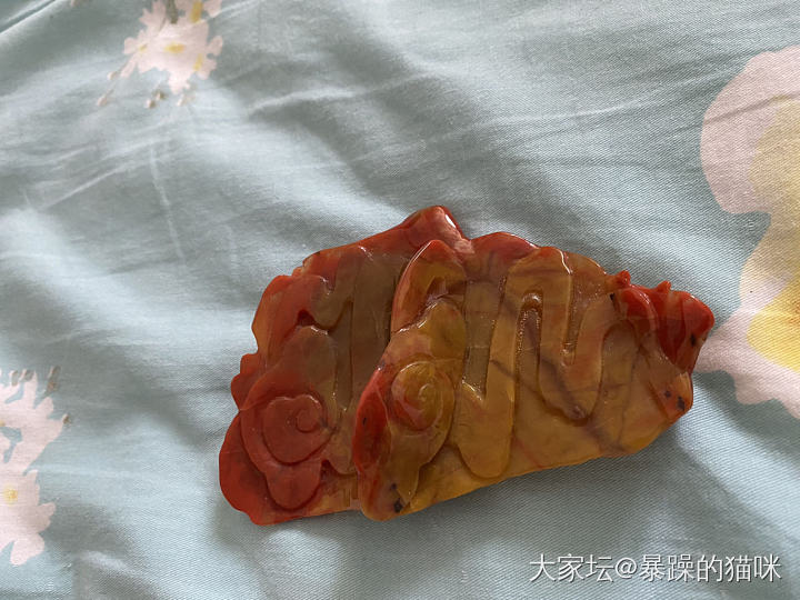 战国红有懂得吗？_战国红