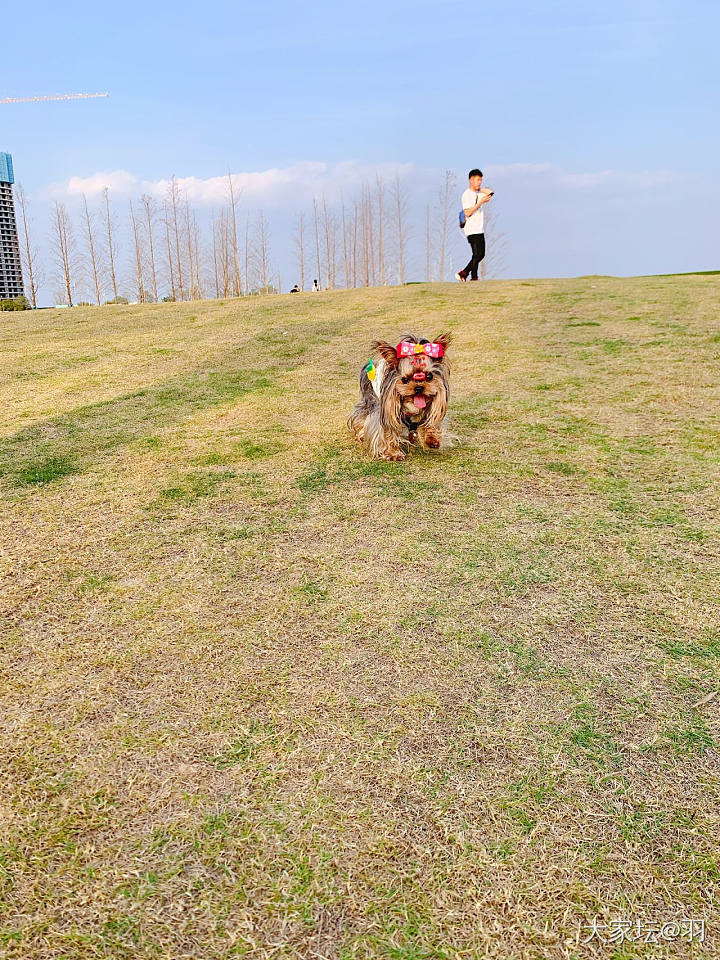 情人节快乐😁_节日