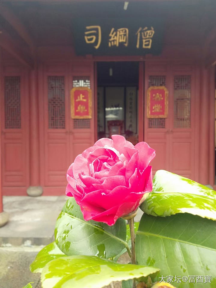 送穷迎福！大吉大利！