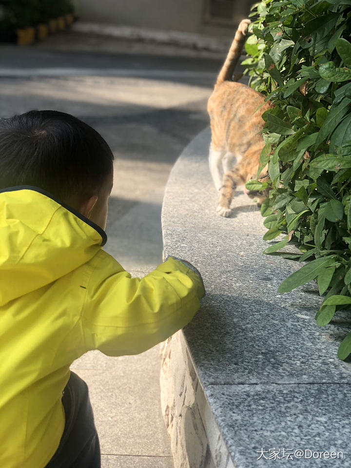 阳光正好_南红