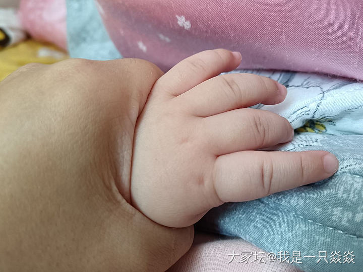 我就是肉嘟嘟，我就是胖乎乎。