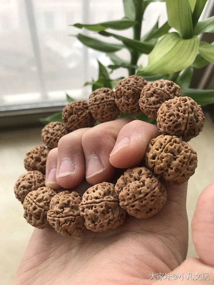 颗颗秒沉的大金刚才是后期稳红的保障！_菩提子