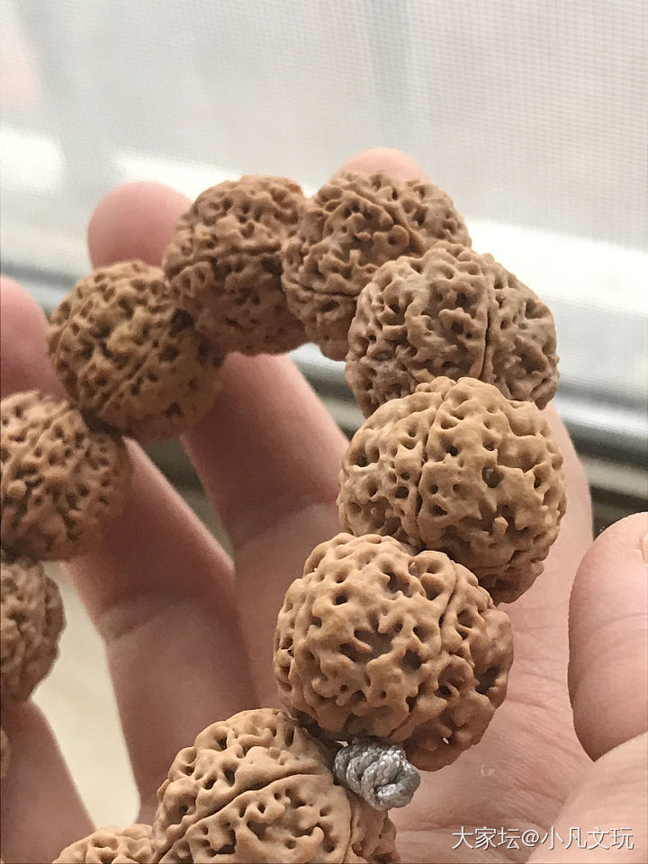 颗颗秒沉的大金刚才是后期稳红的保障！_菩提子