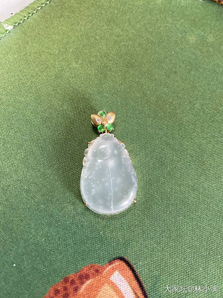 小小的，萌萌的瓢虫🐞_翡翠