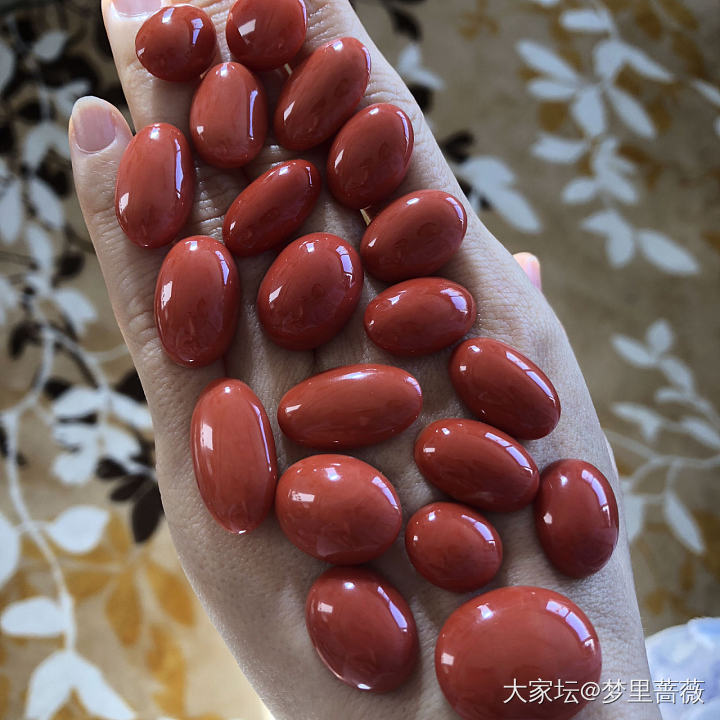 美美的王同学_珊瑚