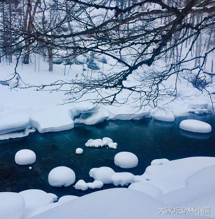 疫情前去的北海道，好想出去玩耍呀，我的诗和远方呀……_旅游