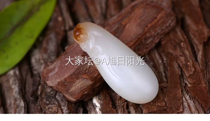 自玩，收藏