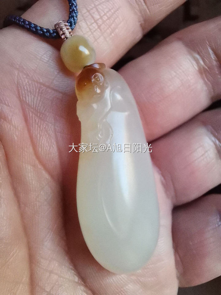 自玩，收藏