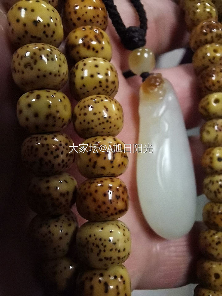自玩，收藏