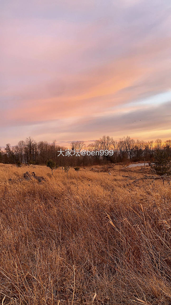 若得夕阳无限好，何须惆怅近黄昏。沿着安大略湖岸没有目的地一直走_景色