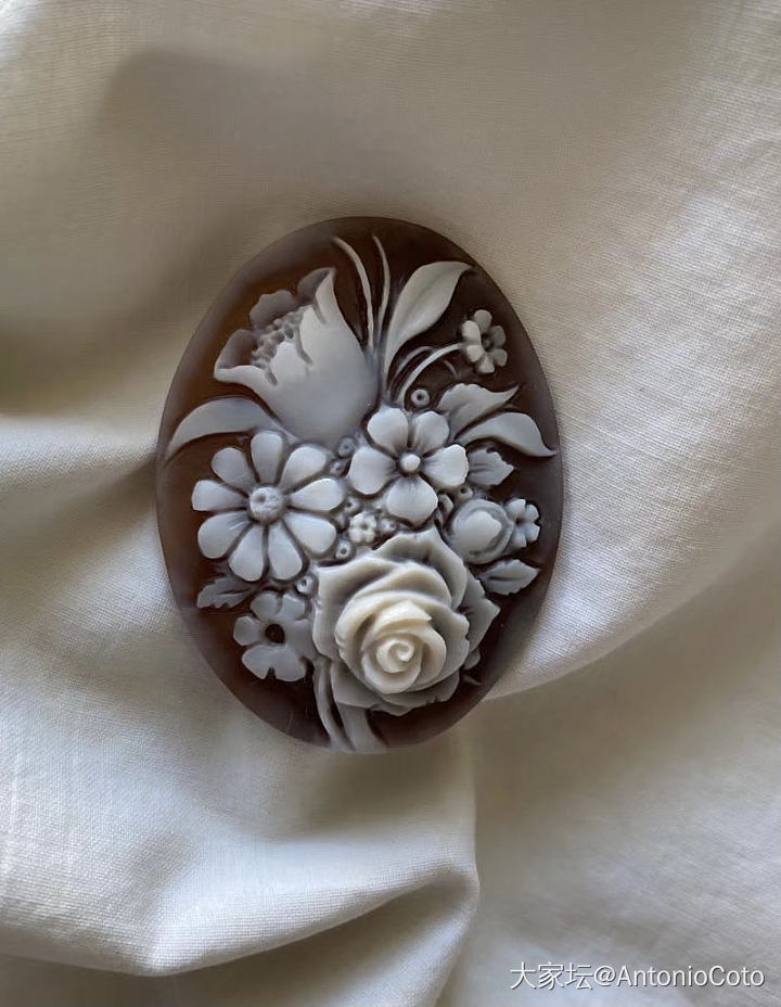 Cameo Shell_贝壳