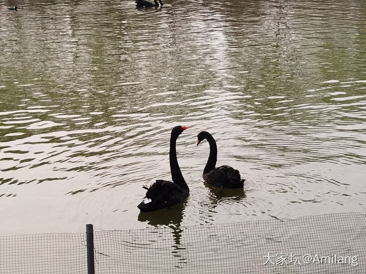 美丽的春天～