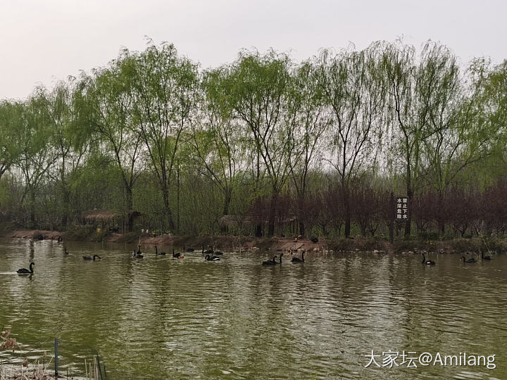 美丽的春天～