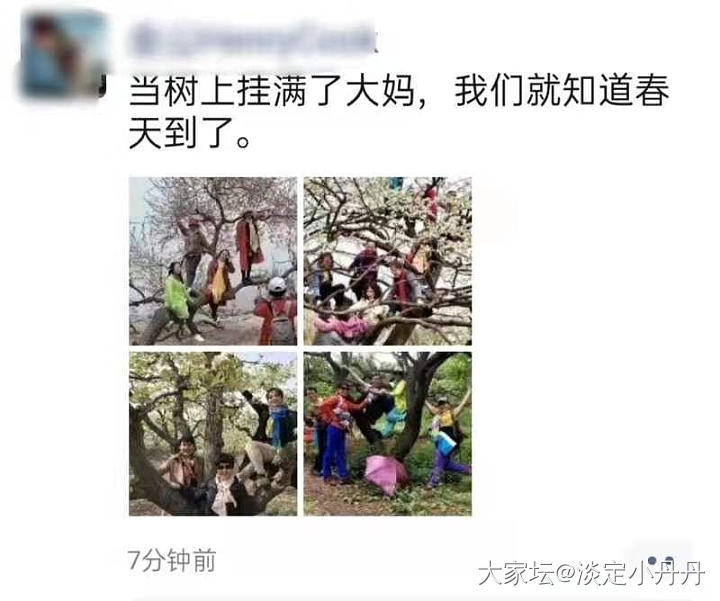 当树上挂满了大妈，我们就知道春天来了