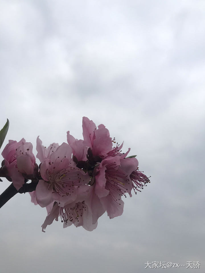 水红包