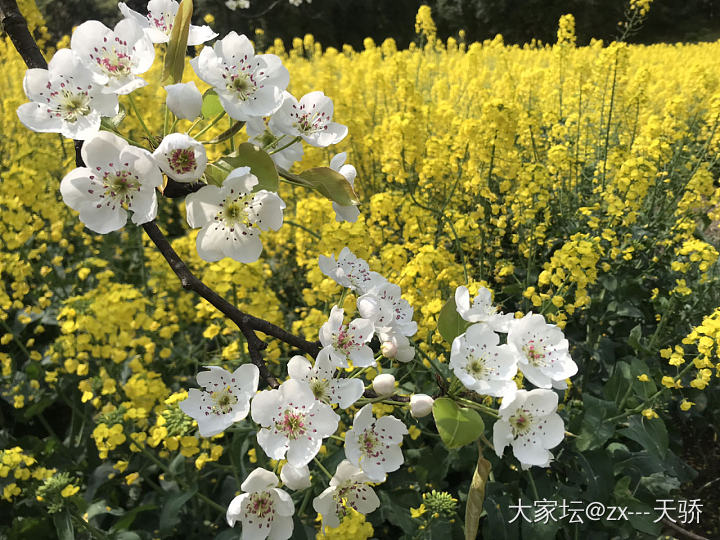 水红包