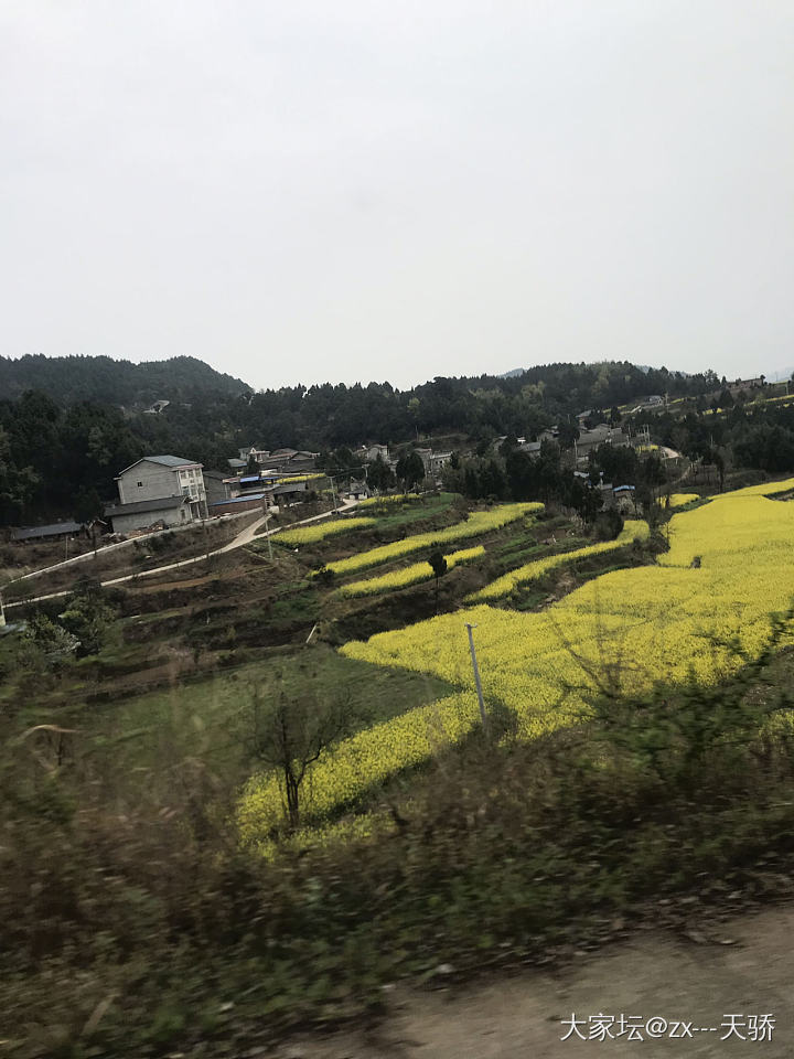 水红包