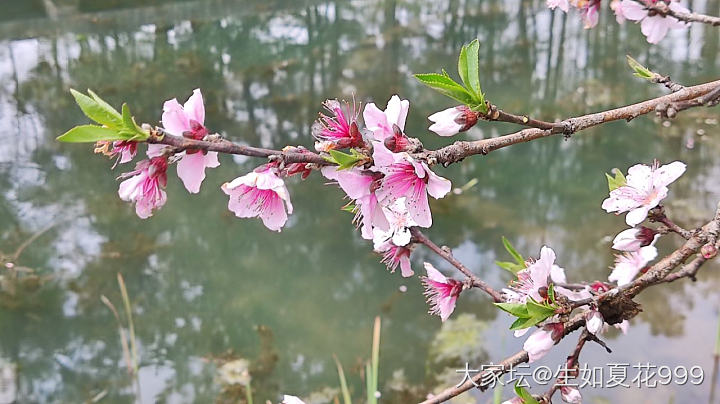水红包
