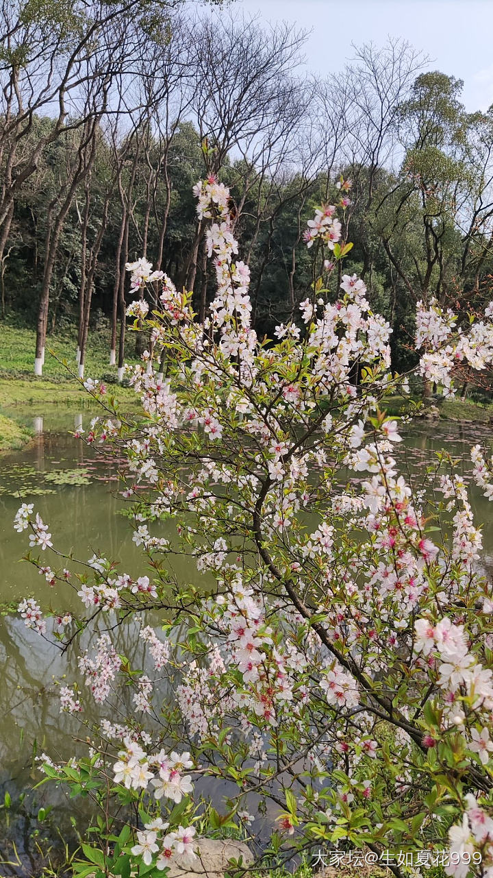 水红包