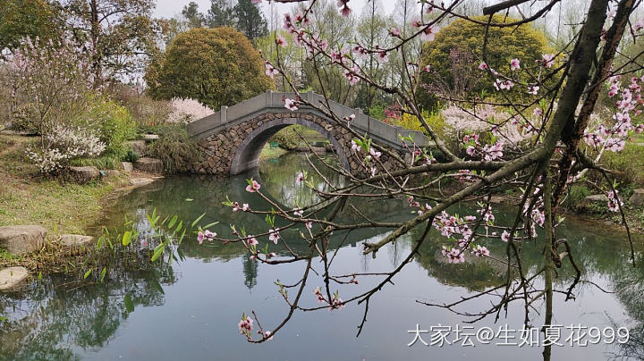 水红包