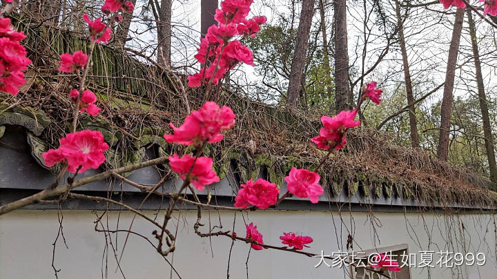 水红包