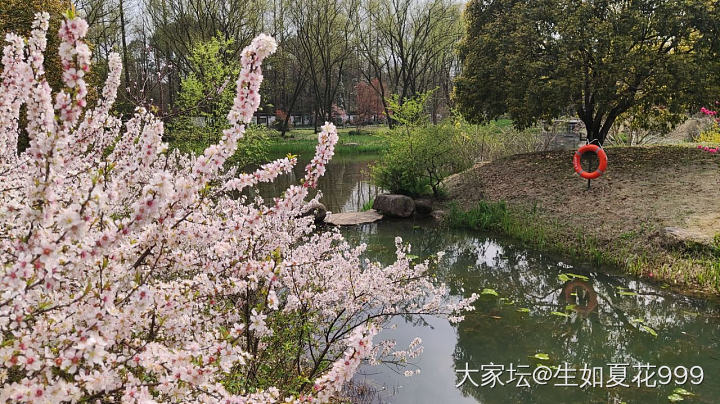 水红包