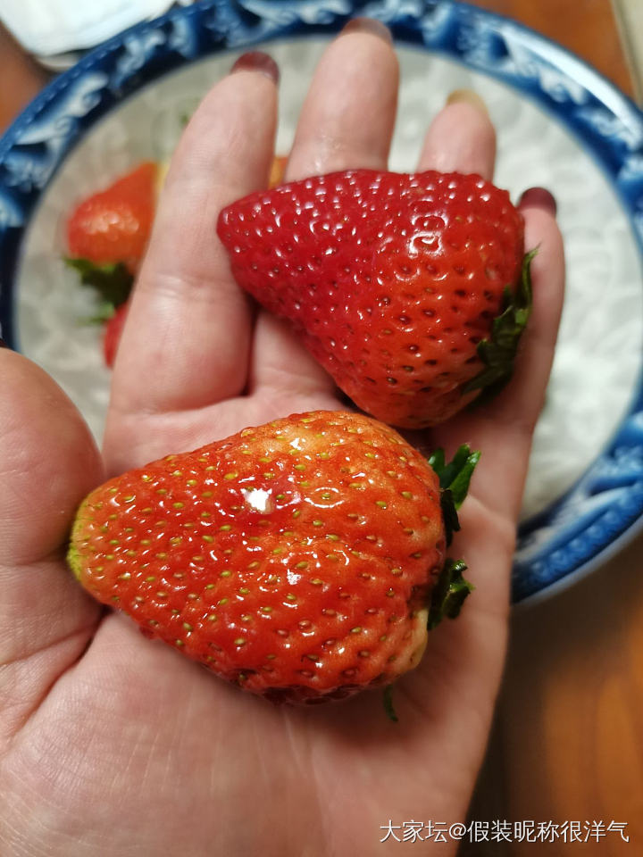 巧克力草莓🍓自由了。_水果