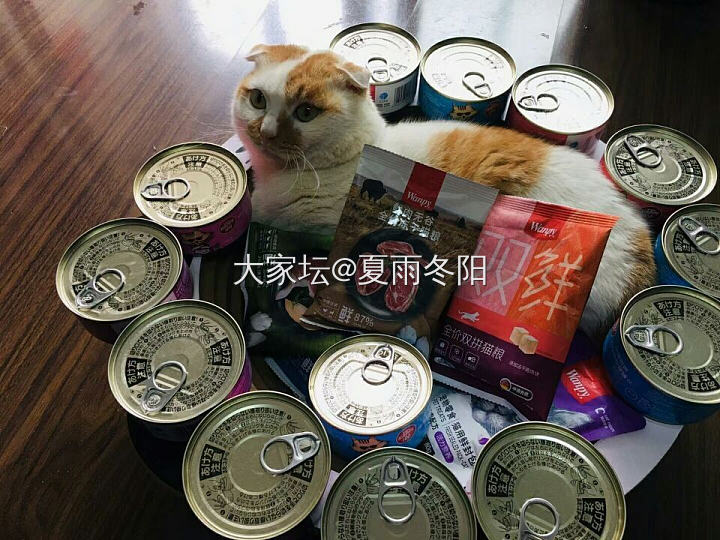 庆祝一下，来了两个月了。_猫