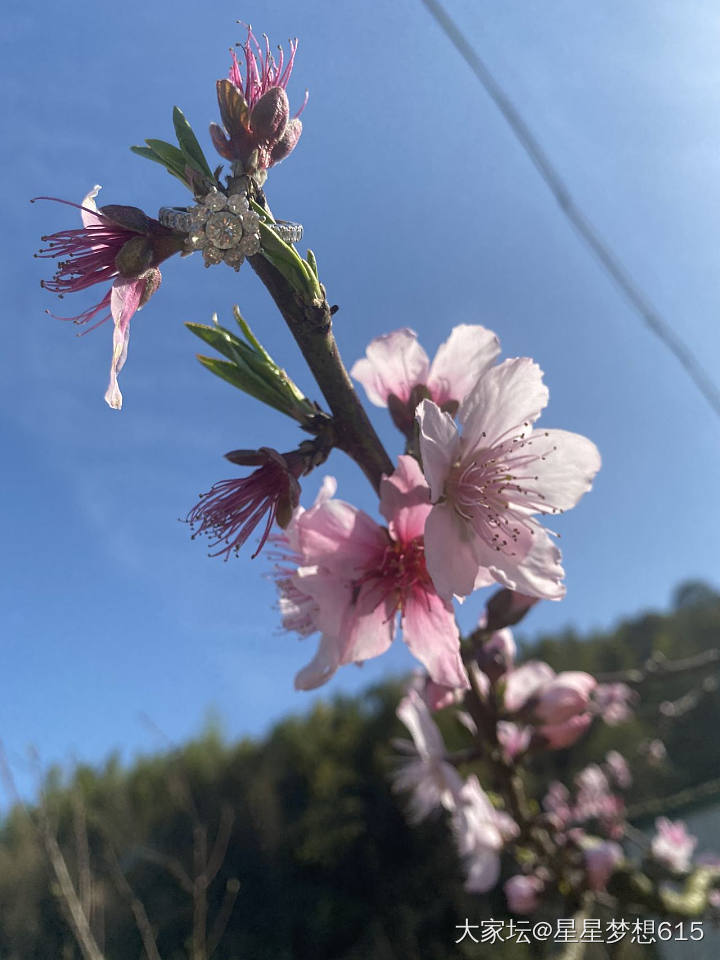 有没有姐妹一起晒晒今日搭配～_珠串耳坠手镯和田玉金