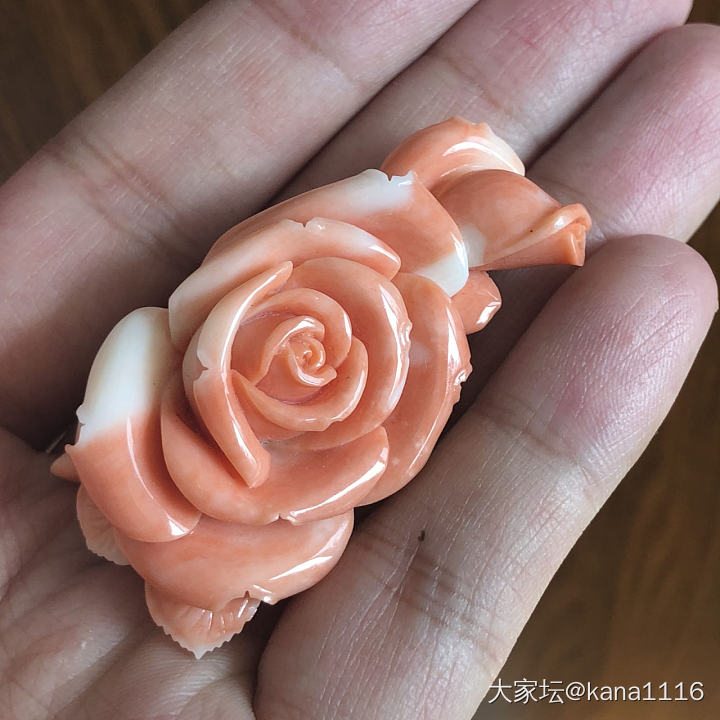 柔美俏色粉玫瑰 武政皓峰作_珊瑚
