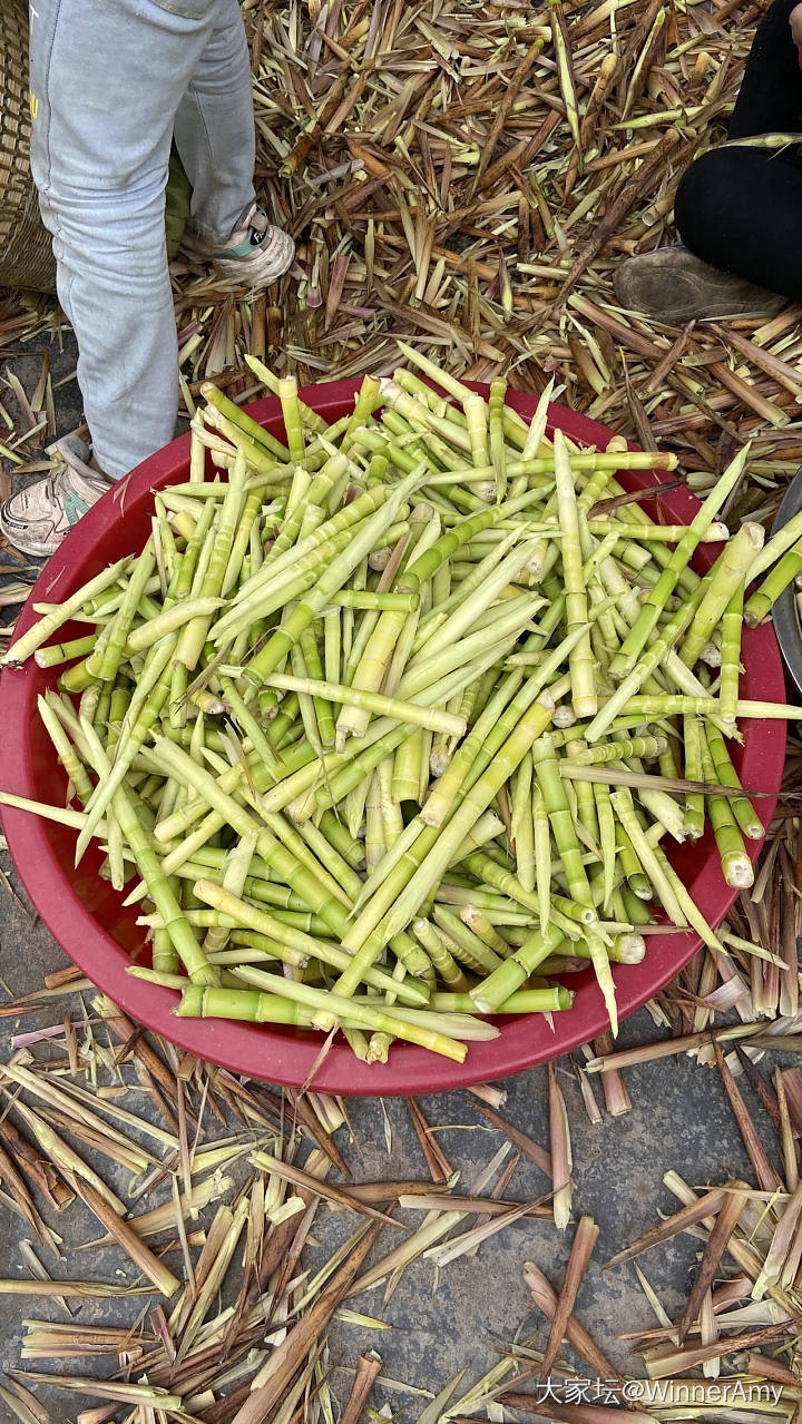 周末乡村一日游_旅游