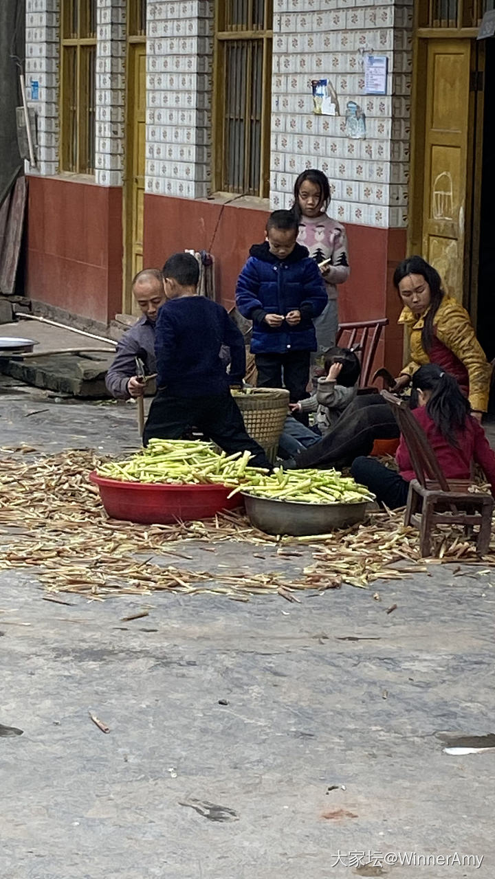 周末乡村一日游_旅游