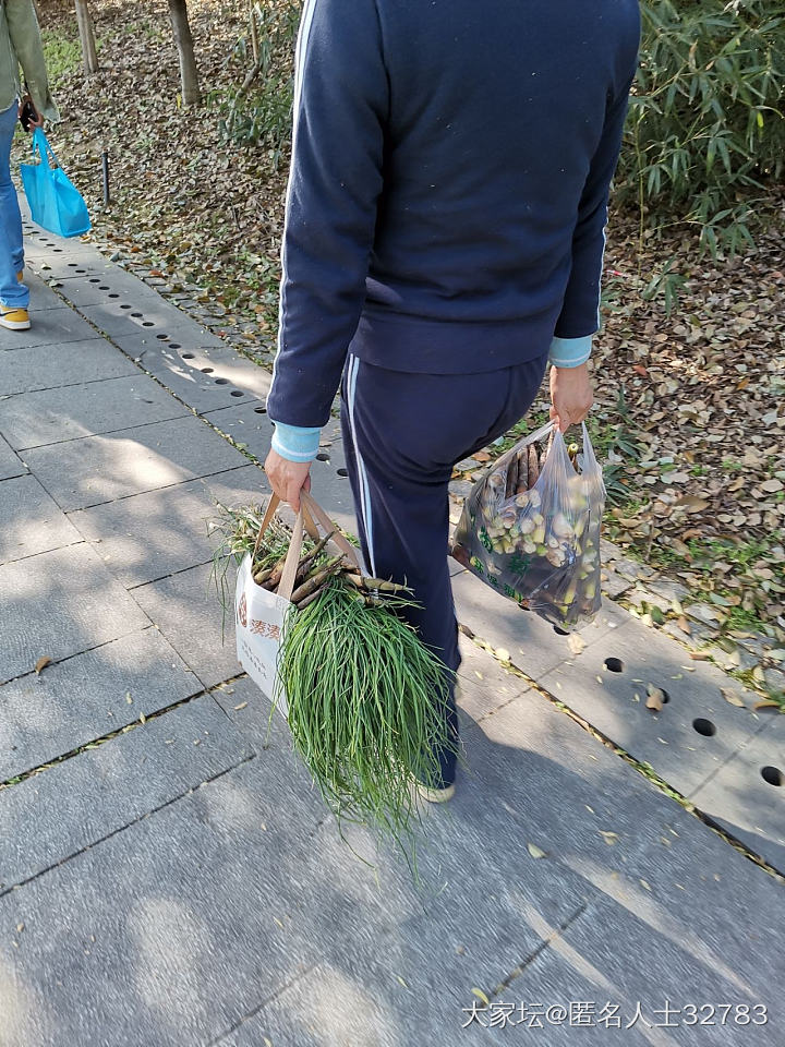 家长的教育决定孩子的高度_幼儿育教亲子