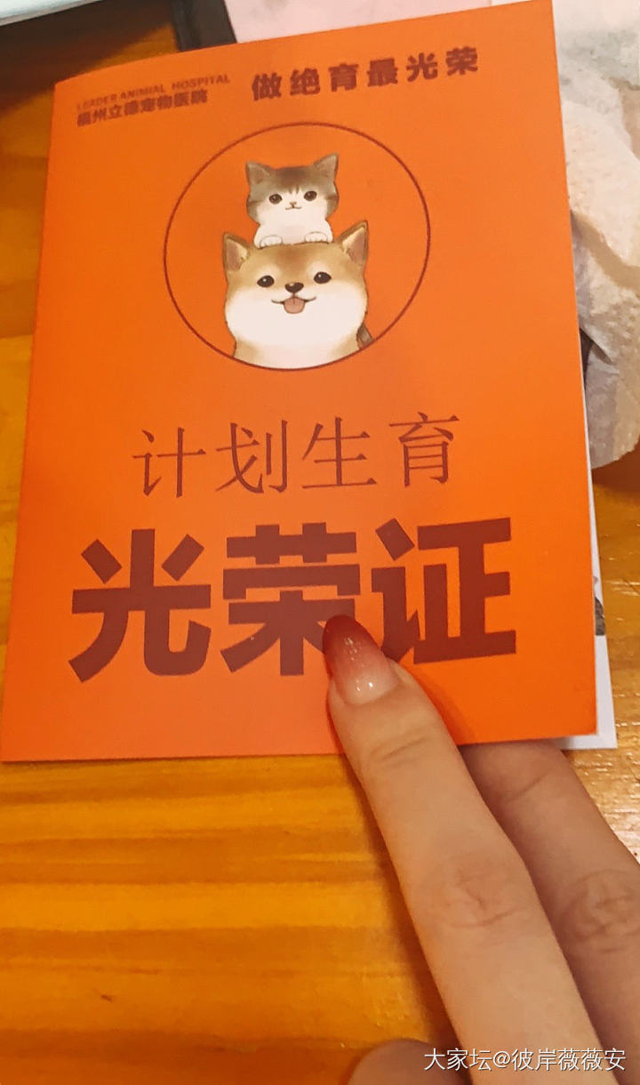 講故事_猫闲聊