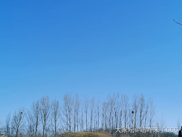 这是我很小的时候生活过的村庄。
村子不大，在幼年的记忆里，村北是一片植满粗壮槐树...