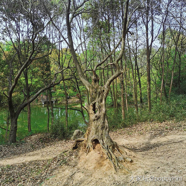 小长假最后一天，出去玩了半天，溜同事_旅游闲聊