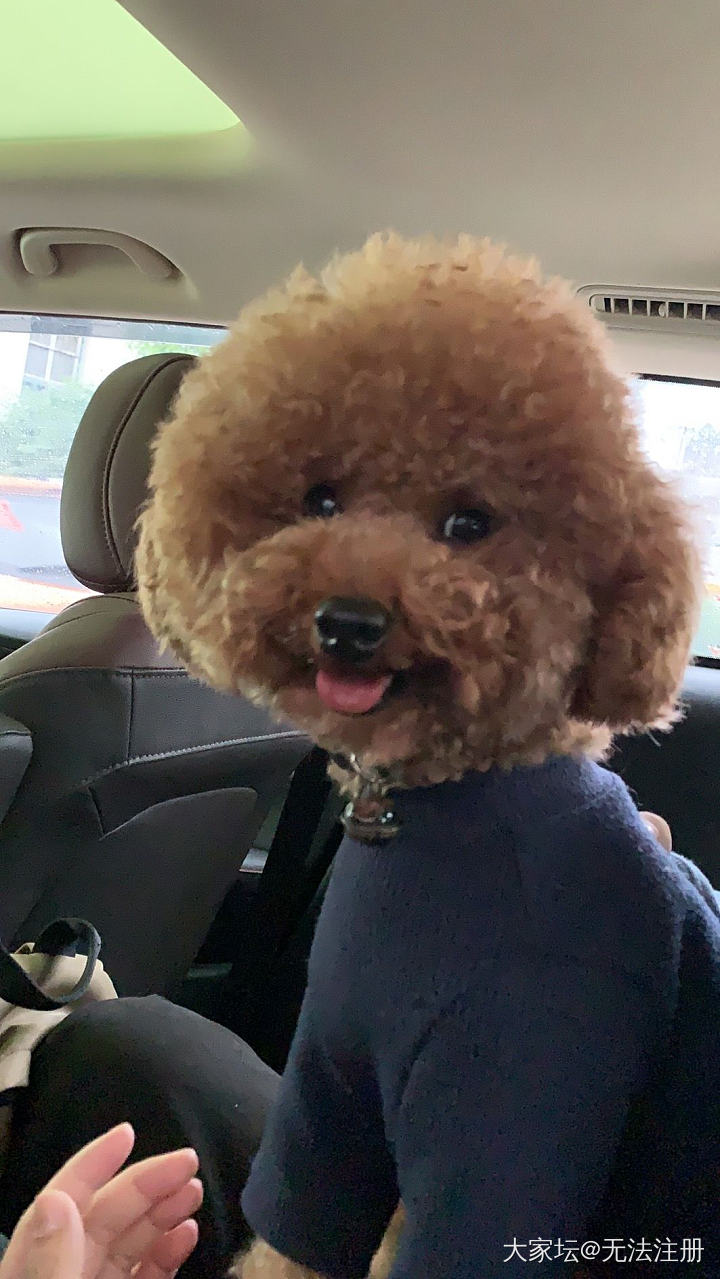 5月的苏杭有哪好玩的吗，想去逛一下