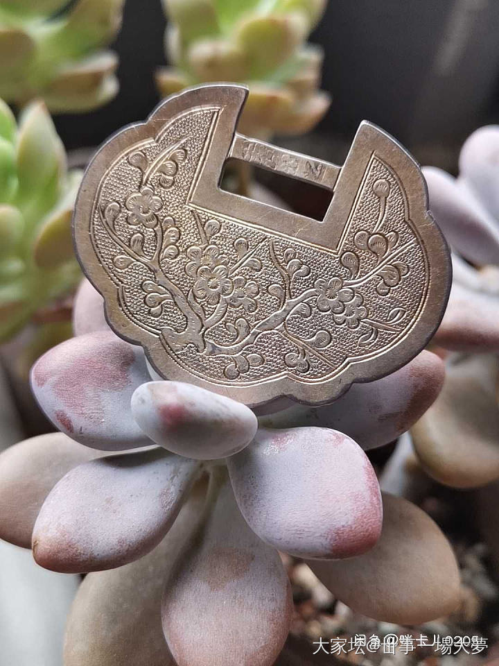 王师傅锁花锁片_商户挂件银