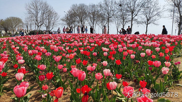 春天花会开_花