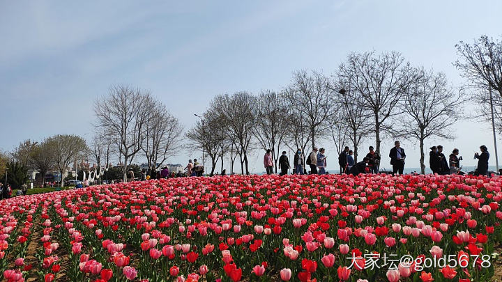 春天花会开_花