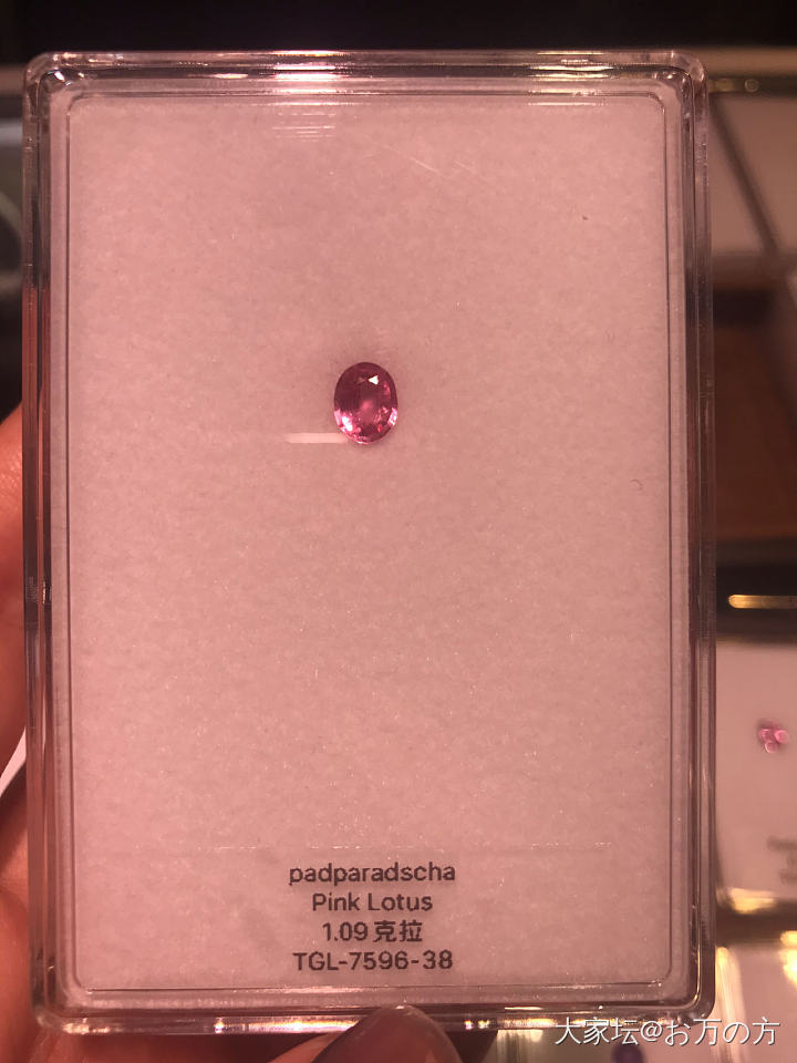 成都珠宝展归来_展会