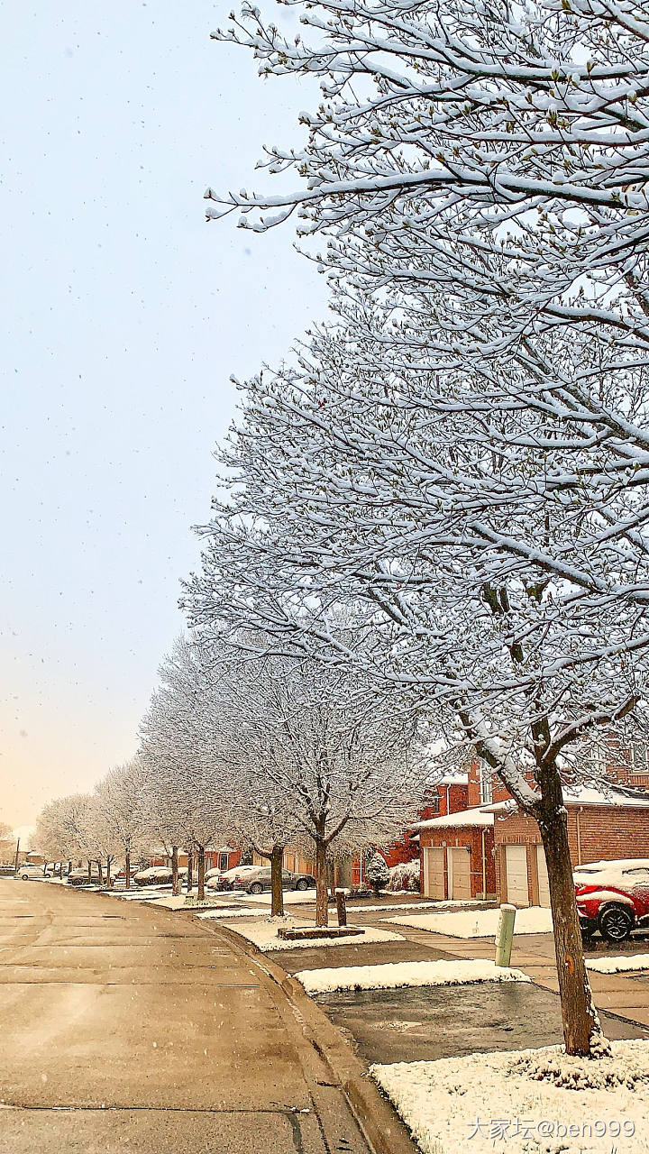 一夜飞雪至，四月，这么一场春雪还是很让人很是欢喜的_景色