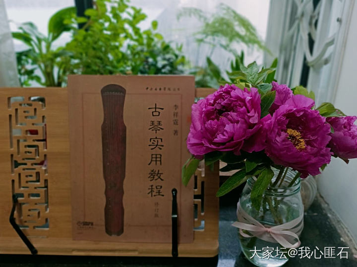 昨天抱了一束芍药回家，太好看了