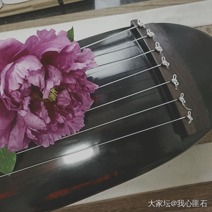 昨天抱了一束芍药回家，太好看了